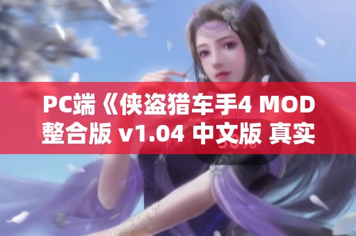 PC端《侠盗猎车手4 MOD整合版 v1.04 中文版 真实画质极致体验