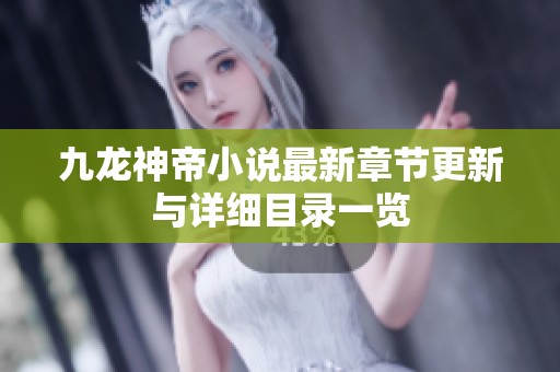 九龙神帝小说最新章节更新与详细目录一览