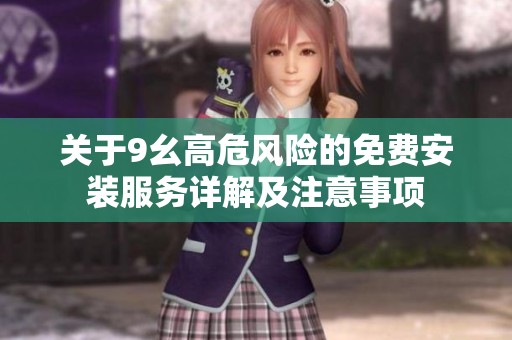 关于9幺高危风险的免费安装服务详解及注意事项