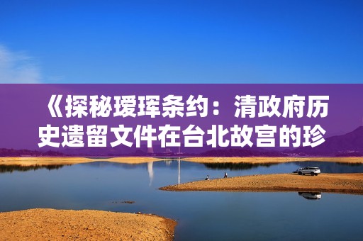 《探秘瑷珲条约：清政府历史遗留文件在台北故宫的珍藏》