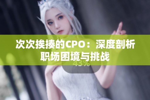 次次挨揍的CPO：深度剖析职场困境与挑战