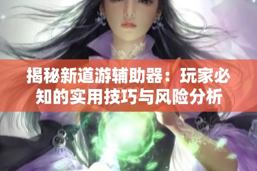 揭秘新道游辅助器：玩家必知的实用技巧与风险分析