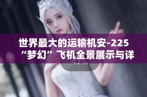 世界最大的运输机安-225“梦幻”飞机全景展示与详解