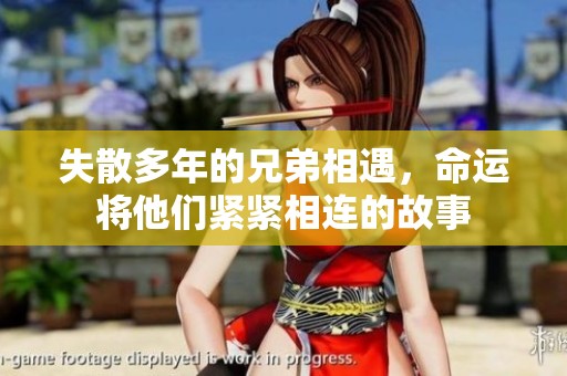 失散多年的兄弟相遇，命运将他们紧紧相连的故事