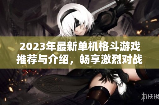 2023年最新单机格斗游戏推荐与介绍，畅享激烈对战体验
