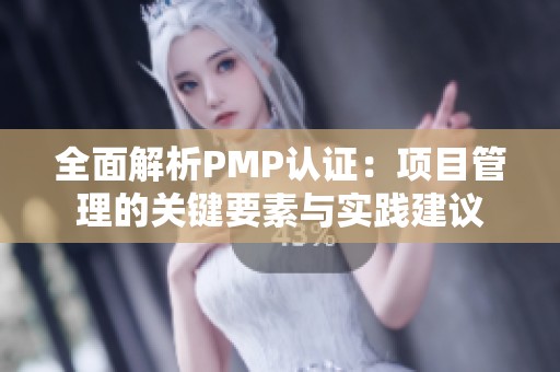 全面解析PMP认证：项目管理的关键要素与实践建议