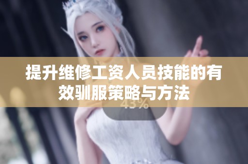 提升维修工资人员技能的有效驯服策略与方法
