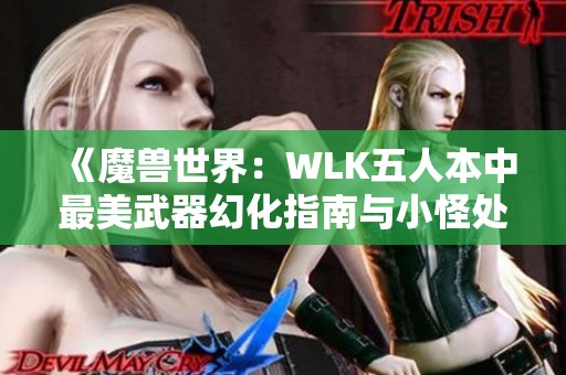 《魔兽世界：WLK五人本中最美武器幻化指南与小怪处理技巧》