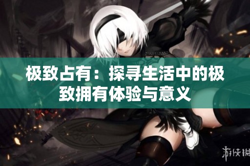 极致占有：探寻生活中的极致拥有体验与意义