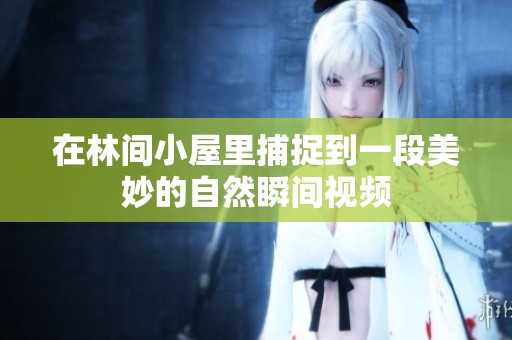 在林间小屋里捕捉到一段美妙的自然瞬间视频
