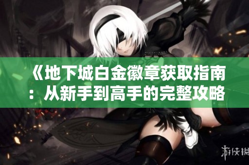 《地下城白金徽章获取指南：从新手到高手的完整攻略》