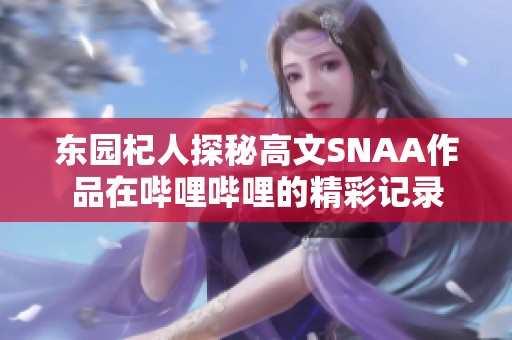 东园杞人探秘高文SNAA作品在哔哩哔哩的精彩记录