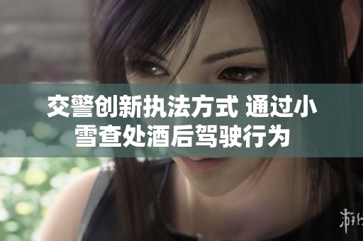 交警创新执法方式 通过小雪查处酒后驾驶行为
