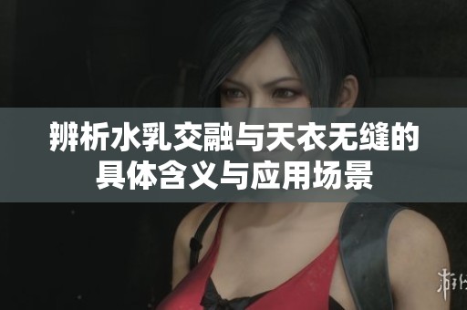 辨析水乳交融与天衣无缝的具体含义与应用场景