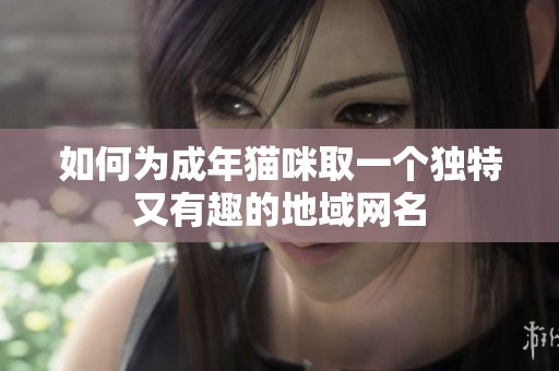 如何为成年猫咪取一个独特又有趣的地域网名