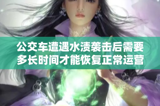 公交车遭遇水渍袭击后需要多长时间才能恢复正常运营