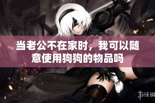 当老公不在家时，我可以随意使用狗狗的物品吗