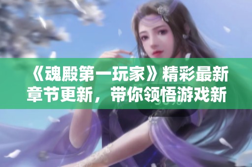 《魂殿第一玩家》精彩最新章节更新，带你领悟游戏新境界