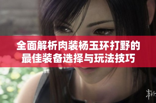全面解析肉装杨玉环打野的最佳装备选择与玩法技巧