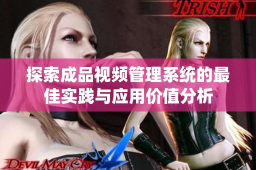 探索成品视频管理系统的最佳实践与应用价值分析