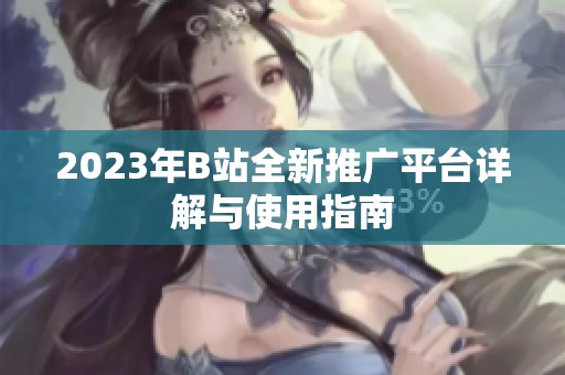 2023年B站全新推广平台详解与使用指南