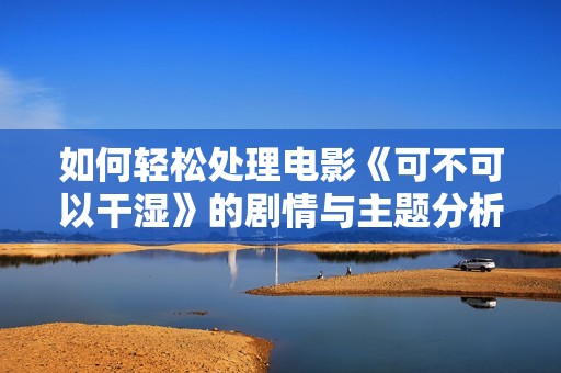 如何轻松处理电影《可不可以干湿》的剧情与主题分析