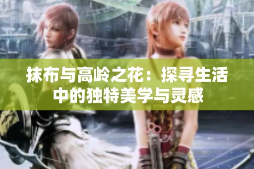 抹布与高岭之花：探寻生活中的独特美学与灵感