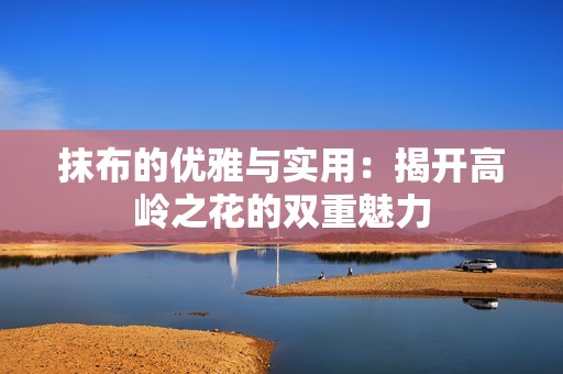 抹布的优雅与实用：揭开高岭之花的双重魅力