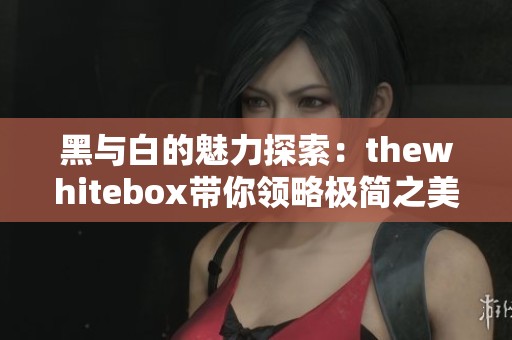 黑与白的魅力探索：thewhitebox带你领略极简之美