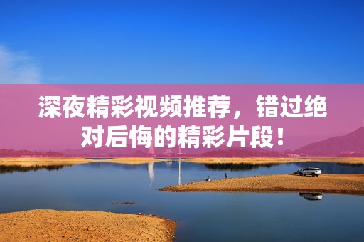 深夜精彩视频推荐，错过绝对后悔的精彩片段！