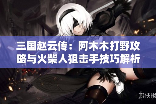 三国赵云传：阿木木打野攻略与火柴人狙击手技巧解析
