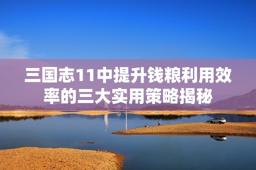 三国志11中提升钱粮利用效率的三大实用策略揭秘