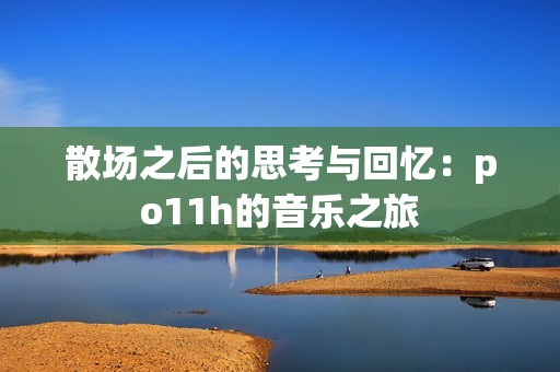 散场之后的思考与回忆：po11h的音乐之旅