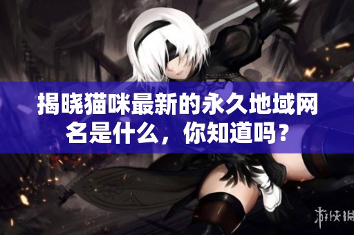 揭晓猫咪最新的永久地域网名是什么，你知道吗？