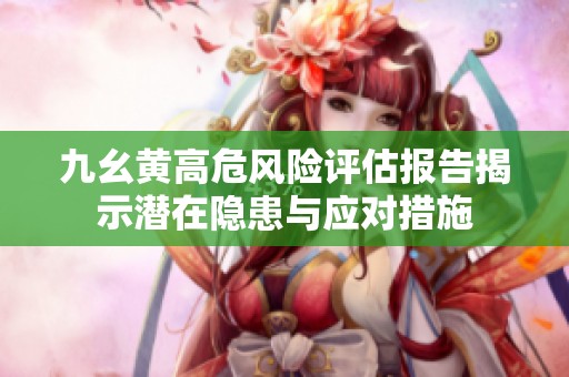九幺黄高危风险评估报告揭示潜在隐患与应对措施