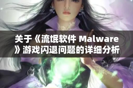 关于《流氓软件 Malware》游戏闪退问题的详细分析与解决方案