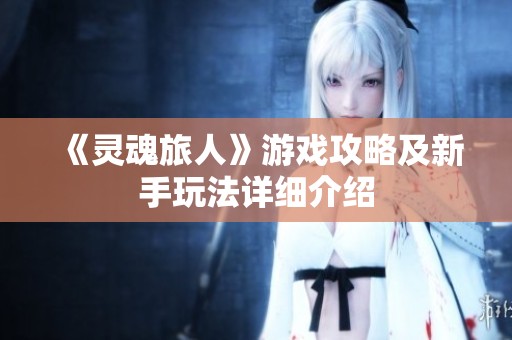 《灵魂旅人》游戏攻略及新手玩法详细介绍