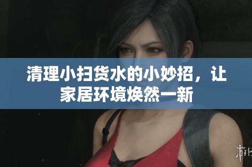清理小扫货水的小妙招，让家居环境焕然一新