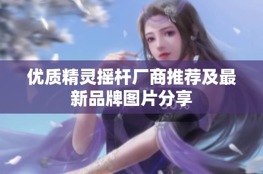 优质精灵摇杆厂商推荐及最新品牌图片分享
