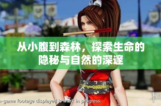 从小腹到森林，探索生命的隐秘与自然的深邃