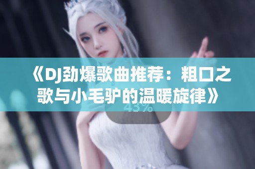 《DJ劲爆歌曲推荐：粗口之歌与小毛驴的温暖旋律》