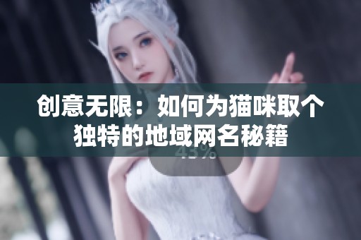 创意无限：如何为猫咪取个独特的地域网名秘籍