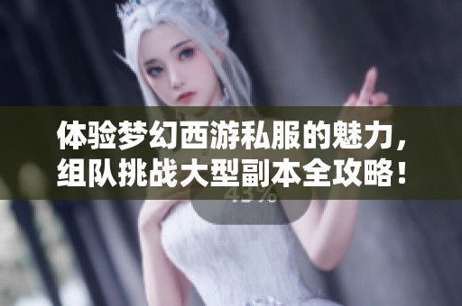 体验梦幻西游私服的魅力，组队挑战大型副本全攻略！