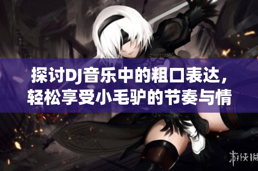 探讨DJ音乐中的粗口表达，轻松享受小毛驴的节奏与情感