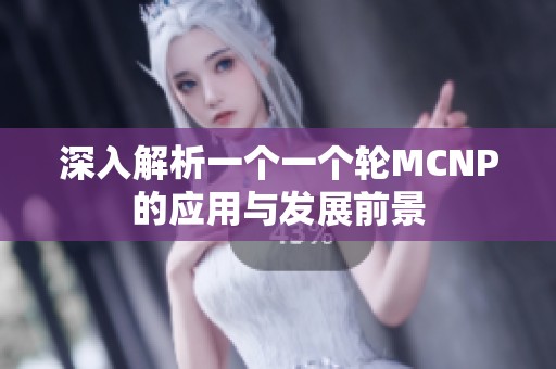 深入解析一个一个轮MCNP的应用与发展前景