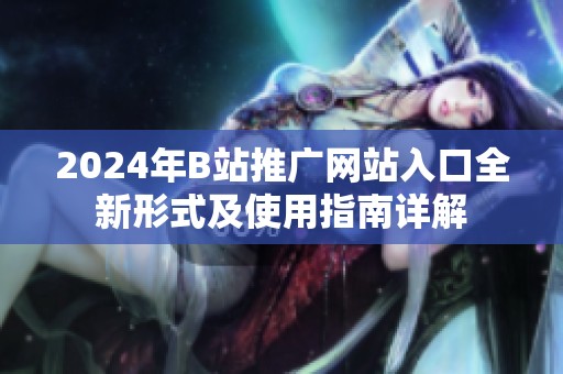 2024年B站推广网站入口全新形式及使用指南详解