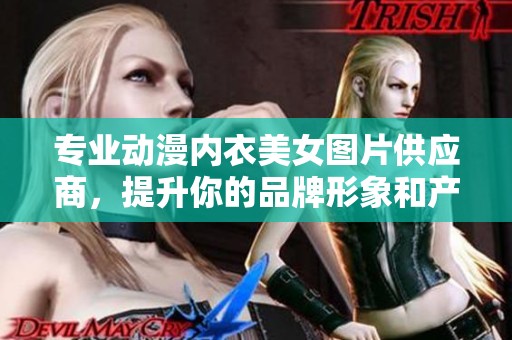 专业动漫内衣美女图片供应商，提升你的品牌形象和产品销量