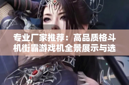 专业厂家推荐：高品质格斗机街霸游戏机全景展示与选购指南