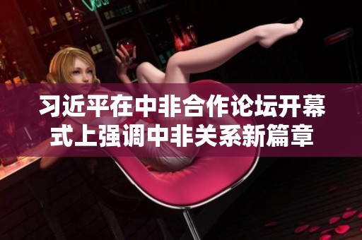 习近平在中非合作论坛开幕式上强调中非关系新篇章