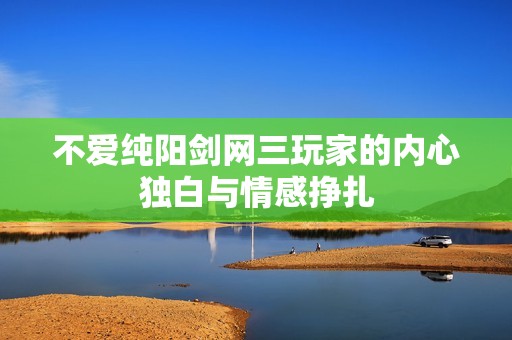 不爱纯阳剑网三玩家的内心独白与情感挣扎